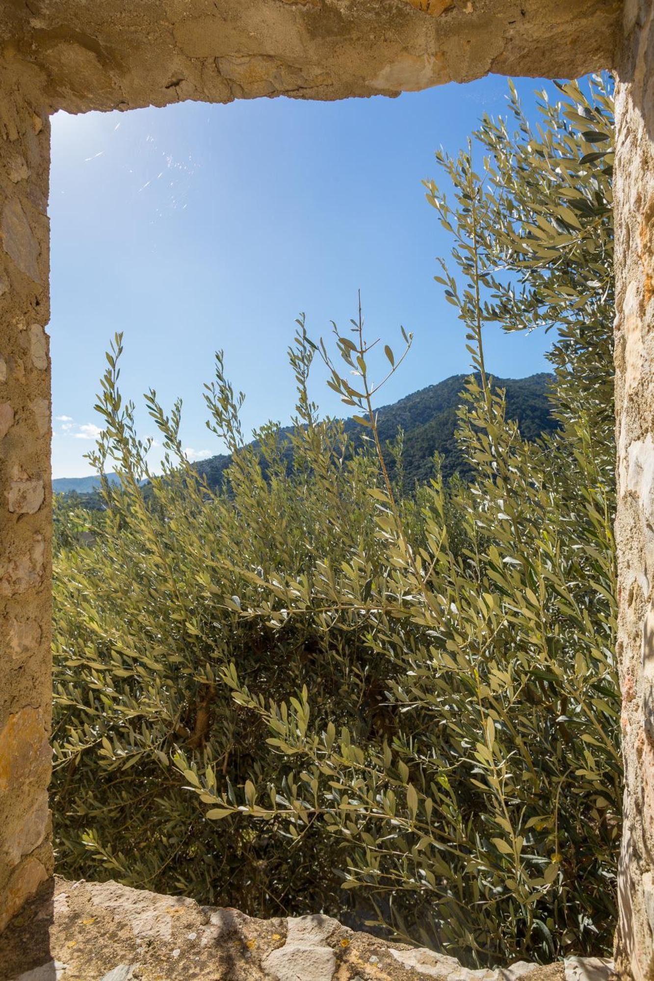 Finca Es Castell