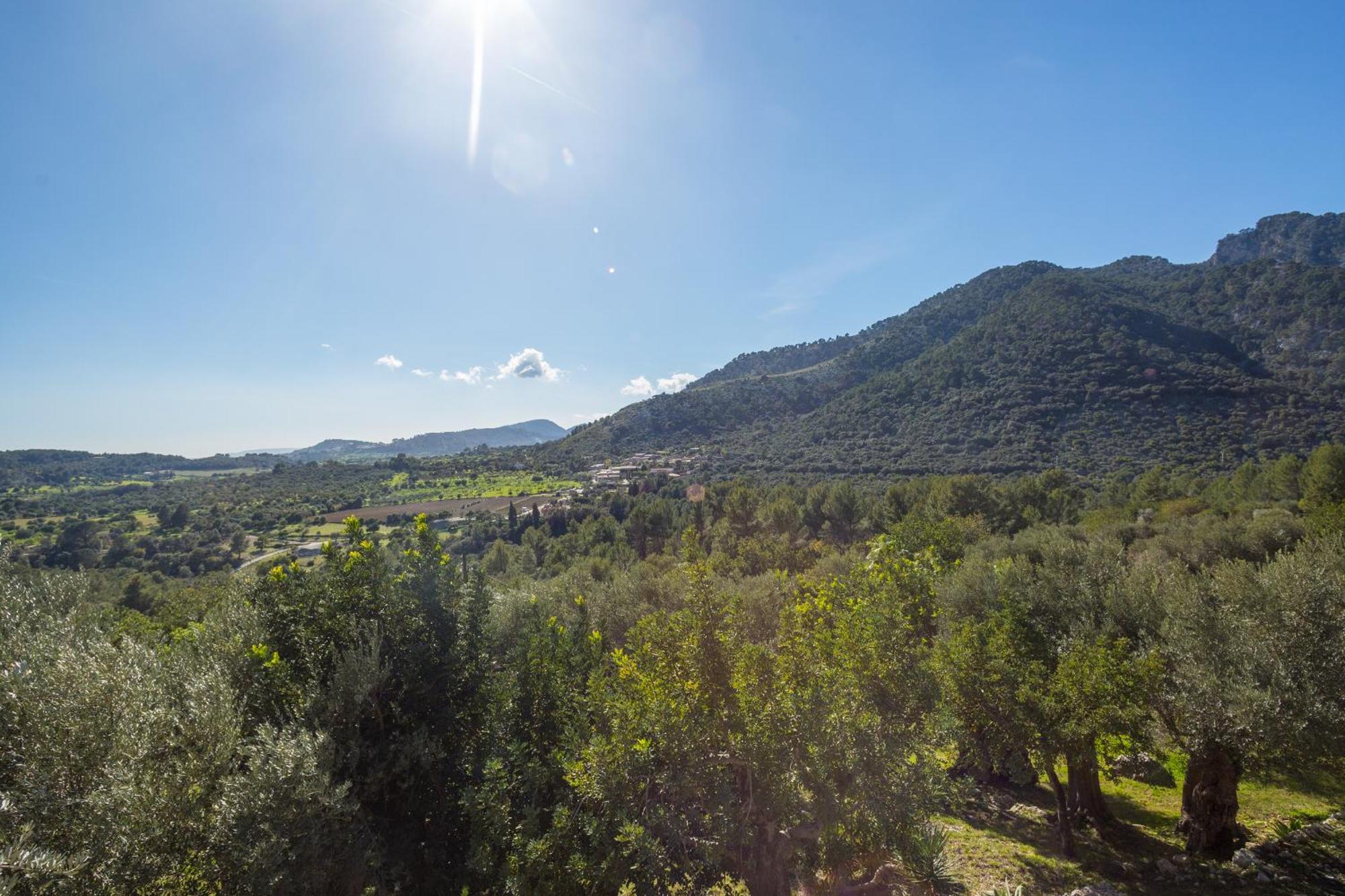 Hotel Finca Es Castell 4*