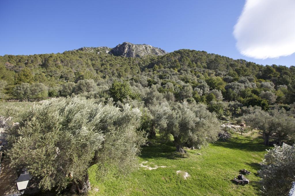 Finca Es Castell 4*