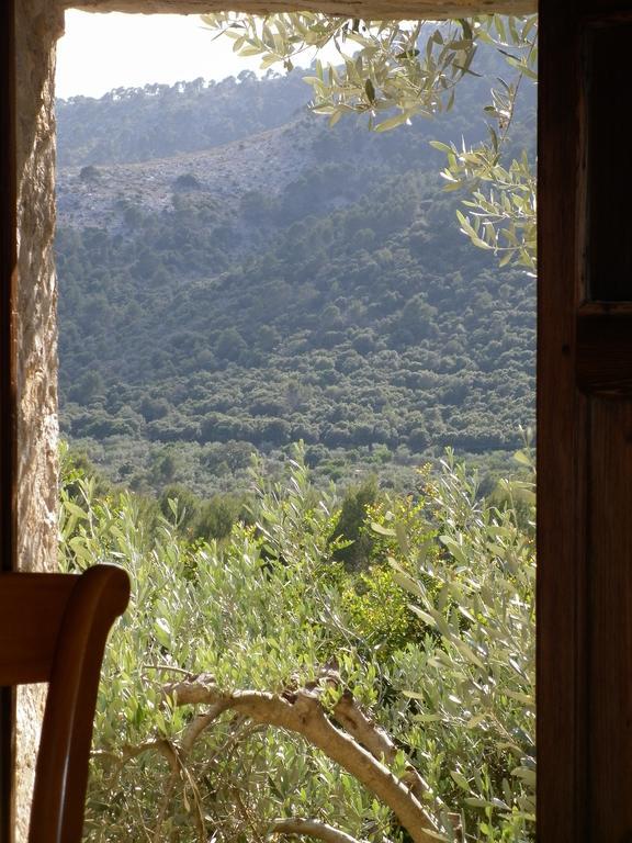 Finca Es Castell Binibona
