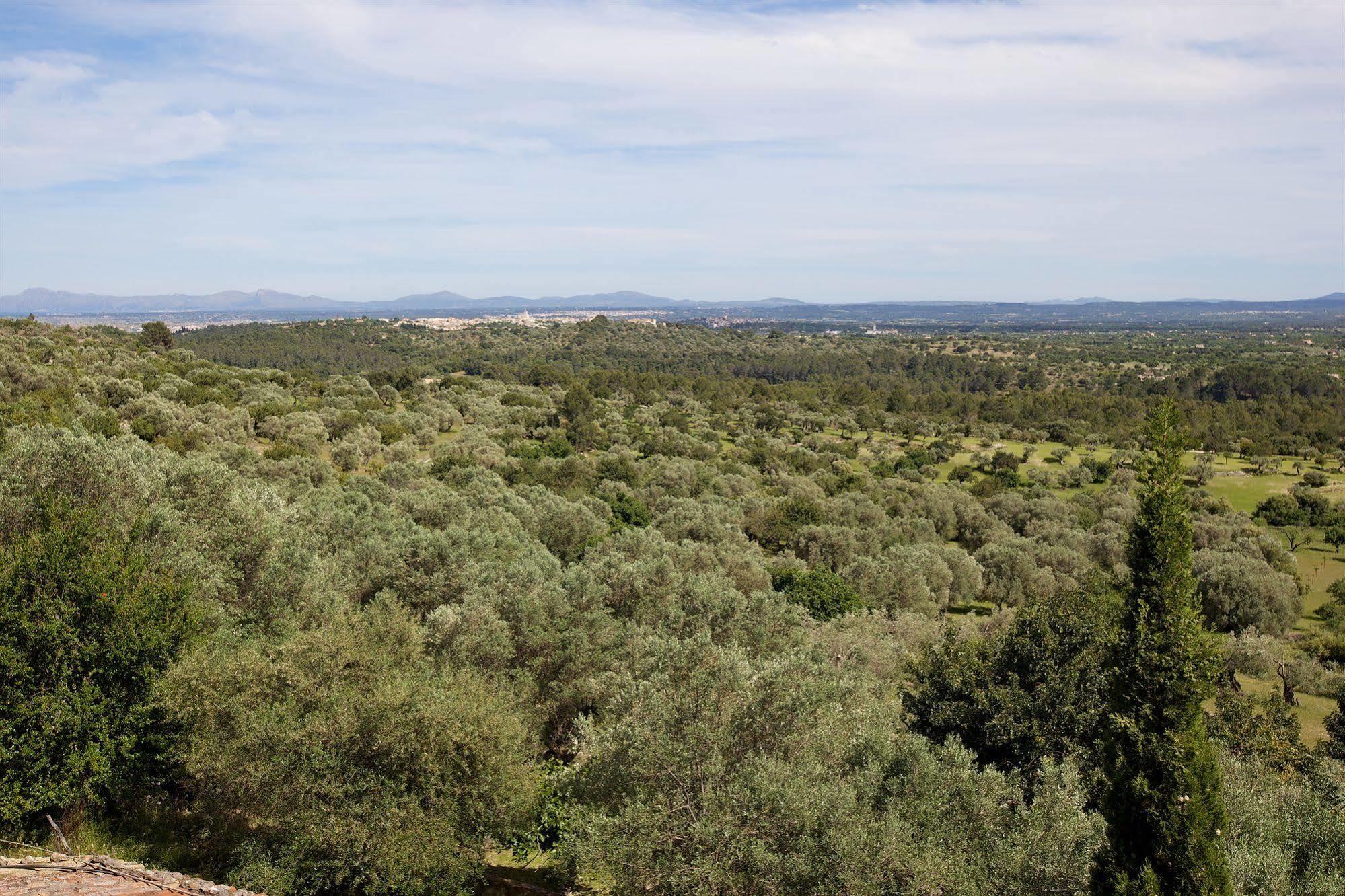 Finca Es Castell