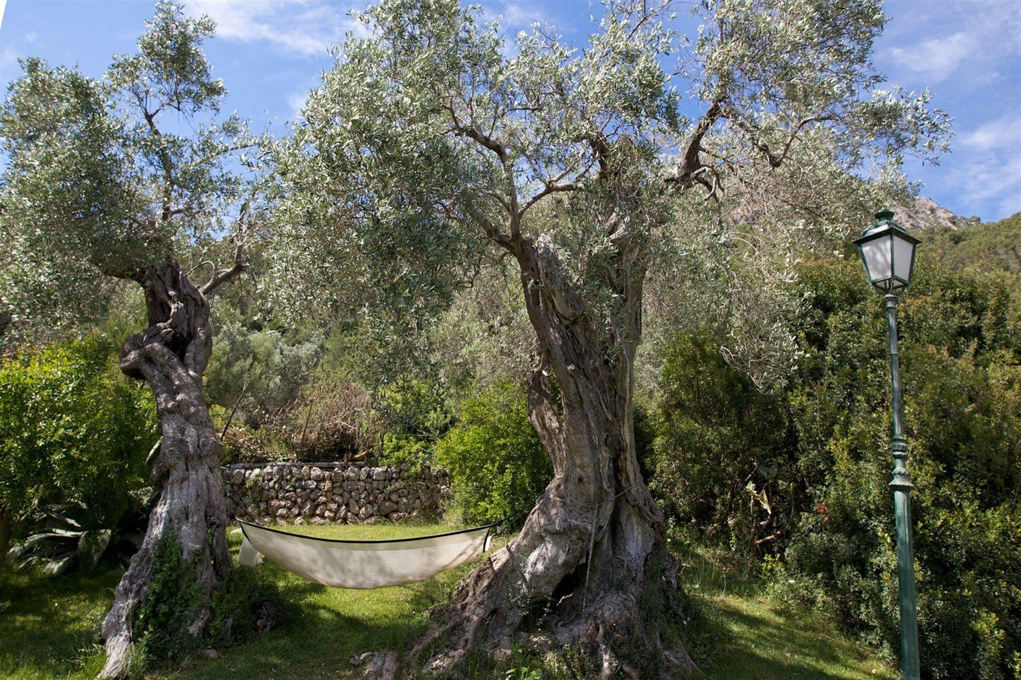 Finca Es Castell 4*