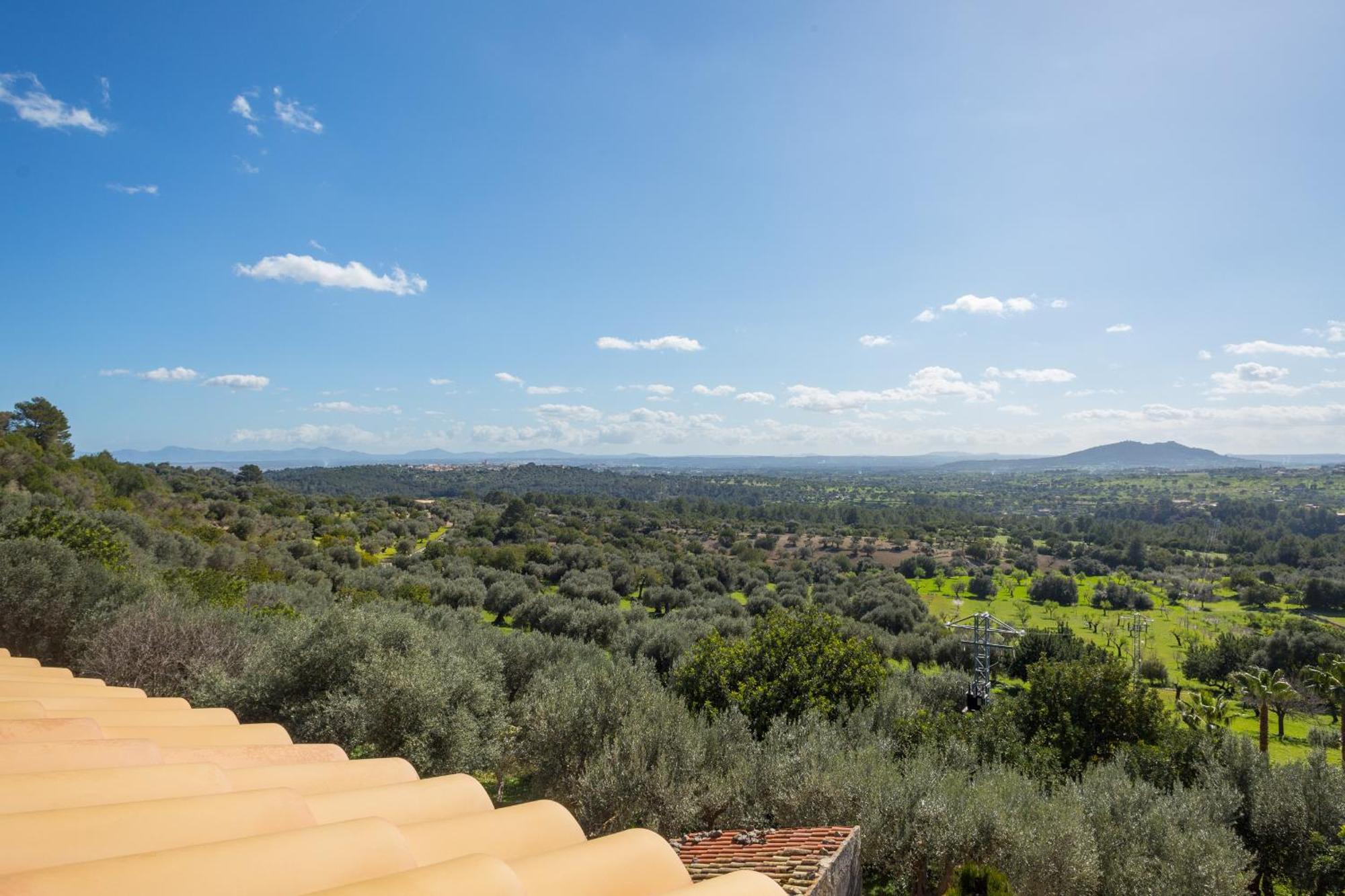 Finca Es Castell Binibona