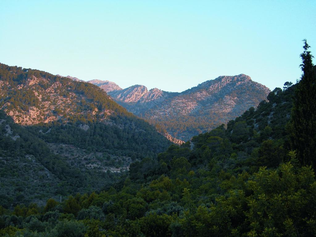 Hotel Finca Es Castell Binibona